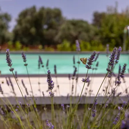 Trullo Nonna Pina Villa San Michele Salentino