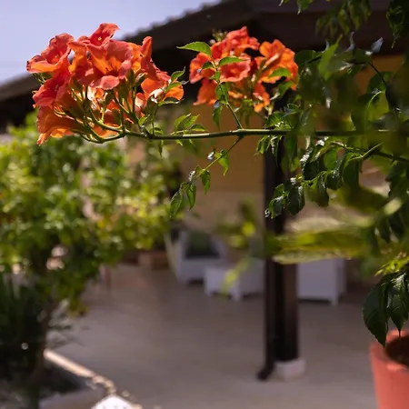 Trullo Nonna Pina Villa
